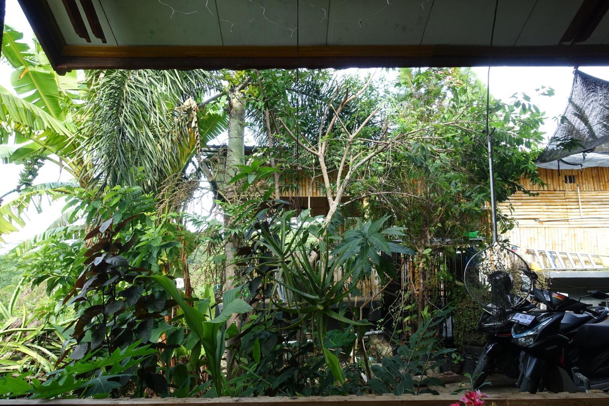 Tarsan Homestay Labuan Bajo Exterior photo
