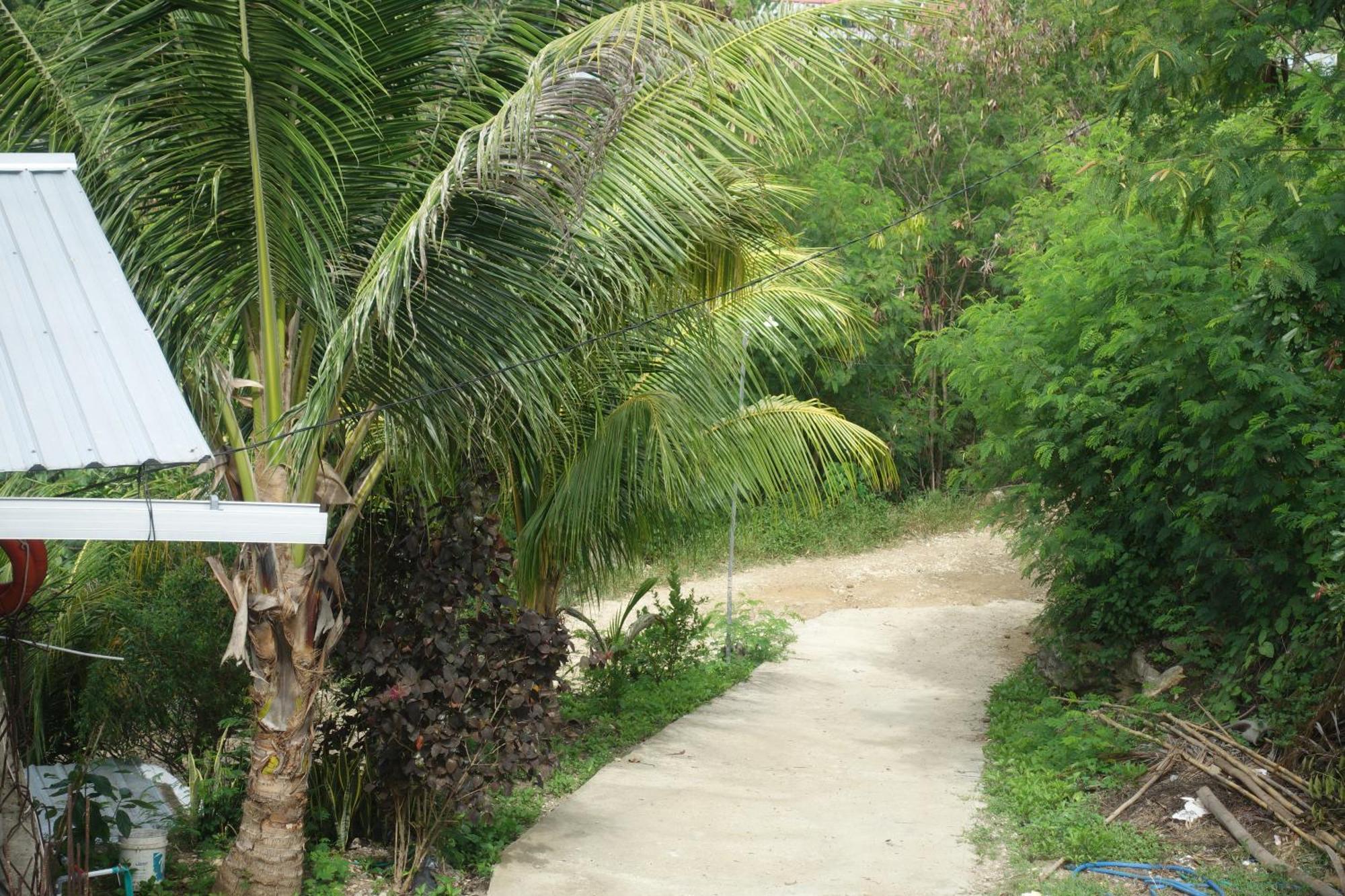 Tarsan Homestay Labuan Bajo Exterior photo