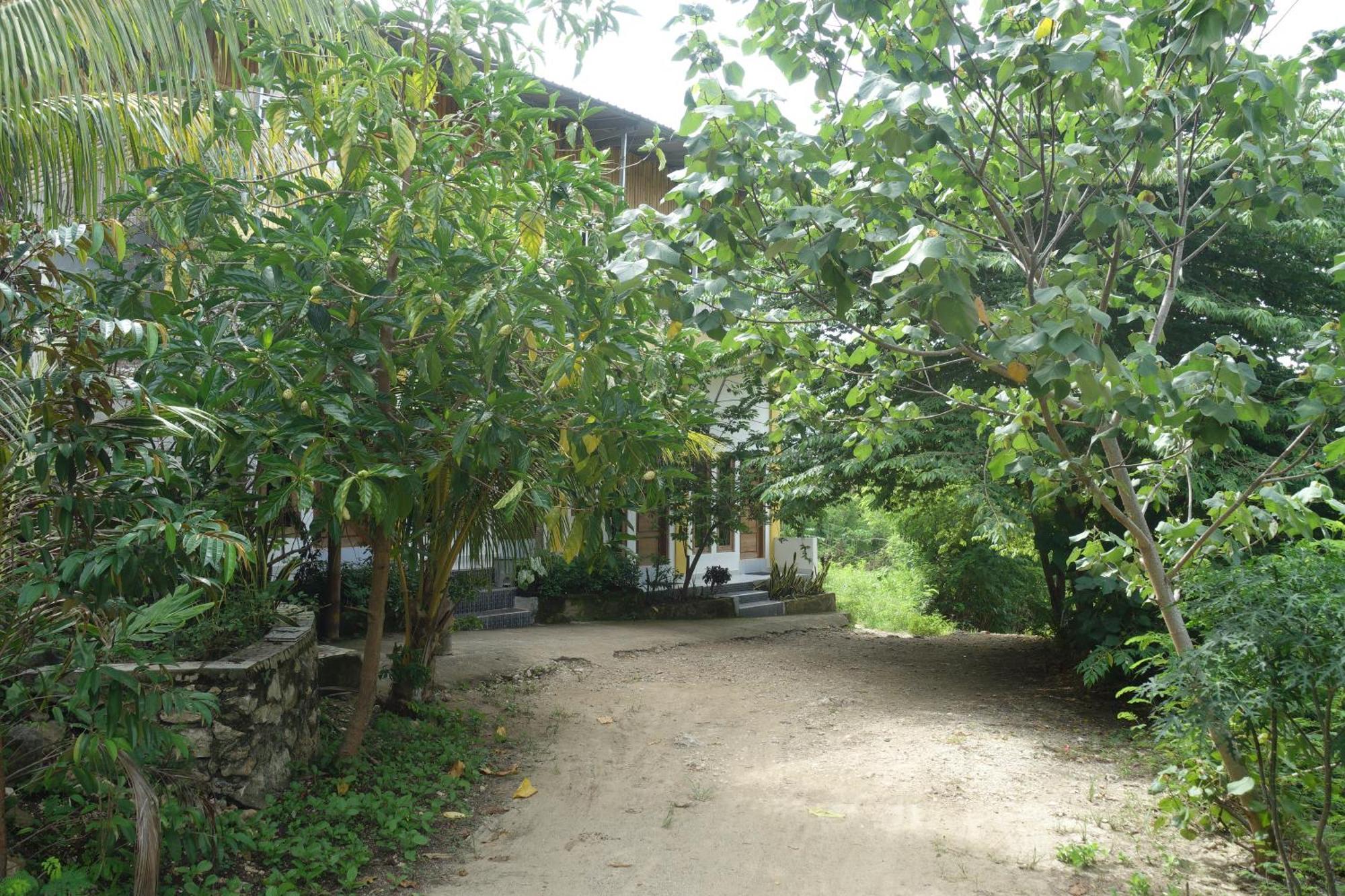 Tarsan Homestay Labuan Bajo Exterior photo