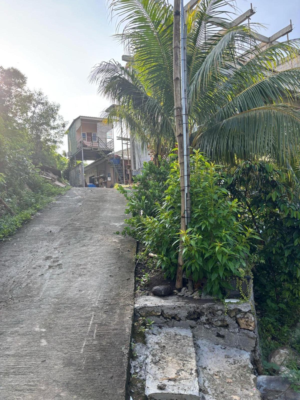 Tarsan Homestay Labuan Bajo Exterior photo