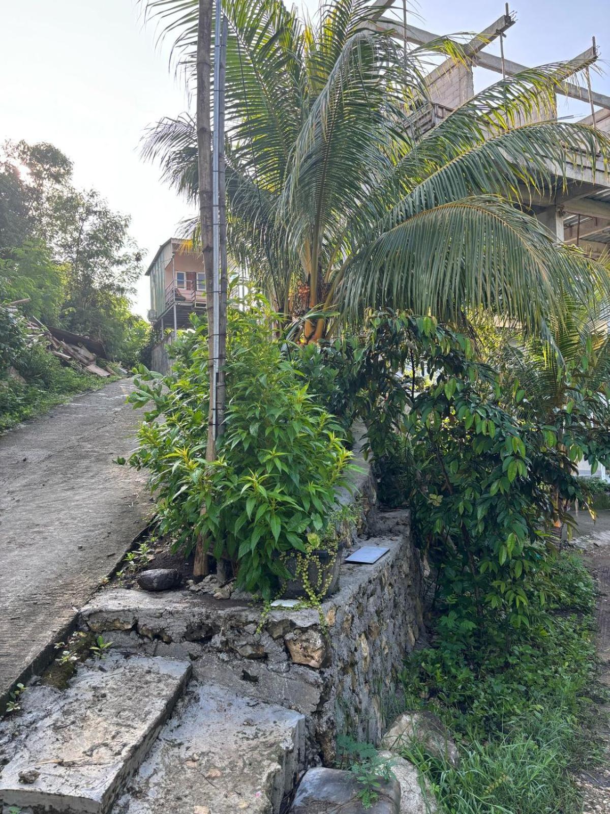 Tarsan Homestay Labuan Bajo Exterior photo